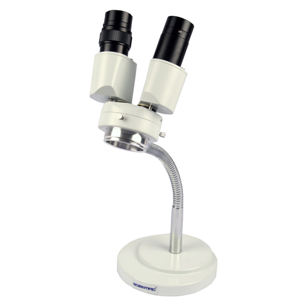 estereo_20X_cisne estereo_20X_cisne