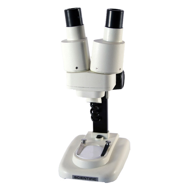 estereo_20x estereo_20x