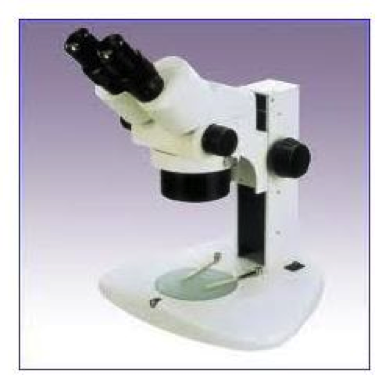 estereo_zomm_50x estereo_zomm_50x